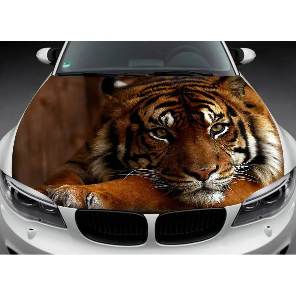 Custom Car Hood Wrap Decal