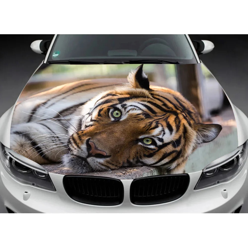 Custom Car Hood Wrap Decal